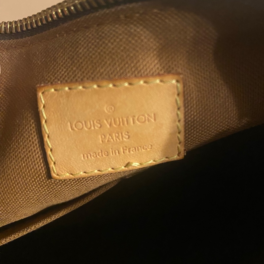 Louis Vuitton  Odeon Monogram Canvas Crossbody Bag - Picture 12 of 16